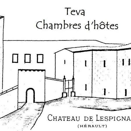 Teva Bed & Breakfast Lespignan Exterior photo